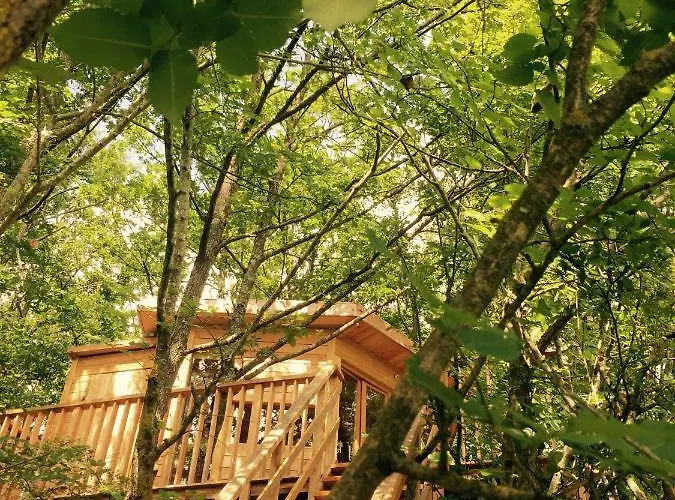 Sainte Camelle مكان تخييم